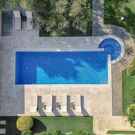 Villa Zen Port Petrovac na moru Exterior foto